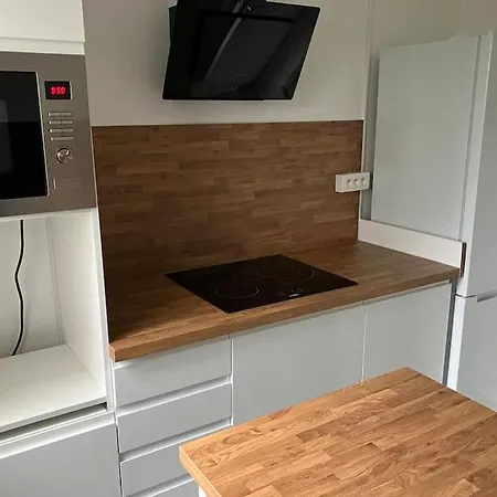 Apartment Spacieux Familial - 10 Mnt Du Rer B Massy (Essonne)